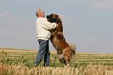 ADULTE ET CHIEN 295